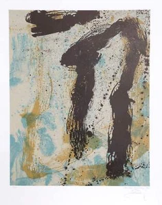James Bohary, Waterfall River, Litografía, firmada y numerada a lápiz - Imagen 1 de 3