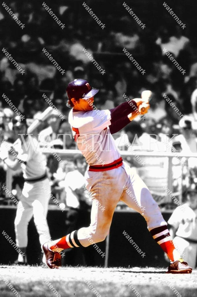 Foto foco de béisbol DO245 Carlton Fisk Boston Red Sox 8x10 11x14 16x20 Foto 1 de 1