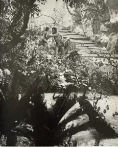 Super Giant Jungle River Shin Toho Production Japanese Film Still 9x11 B&W - Bild 1 von 2