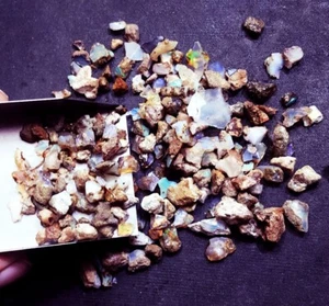 100% Natural Ethiopia Very Small Opal Rough 100.70 Ct Lot Loose gems ~ Free Gift - Picture 1 of 10