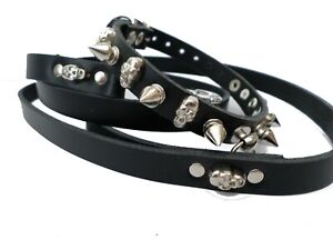 chihuahua small breed leather spiked with skull collar and lead 12mm spikes