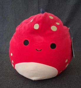 Squishmallows Red 11 Inch Dolan The Red Dinosaur Plush Animal Toy KellyToy WT's - Picture 1 of 6