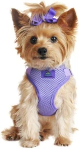 Dog Harness Adjustable Control, Soft Choke-Free Mesh Vest  - Paisley Purple XS - Picture 1 of 4