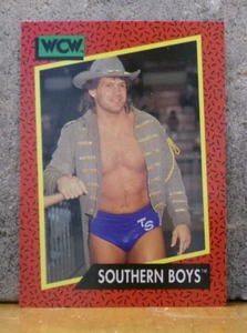 COOL OLD WRESTLING CARD WCW SOUTHERN BOYS STEVE ARMSRONG & TRACY SMOTHERS # 133 - Picture 1 of 2
