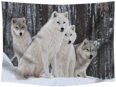 Tapiz Extra Grande Colgante de Pared Lobo de Nieve Naturaleza Vida Silvestre Habitación Decoración Dormitorio Foto 1 de 4