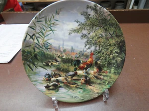 Seltmann Weiden "Enten & Hühner am Dorfteich" -4- - Bild 1 von 4