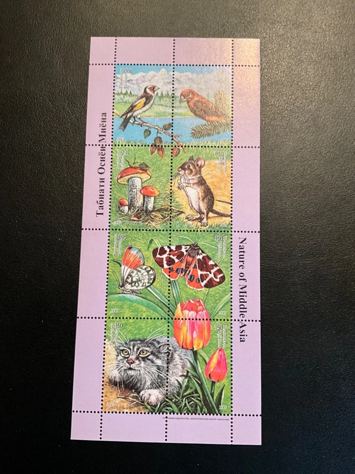 Tayikistán Scott #184 nunca articulado Foto 1 de 1