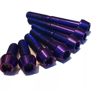 M6 Titanium bolt Tapered  DEEP PURPLE  Incredible Quality Lifetime warranty   - Picture 1 of 1