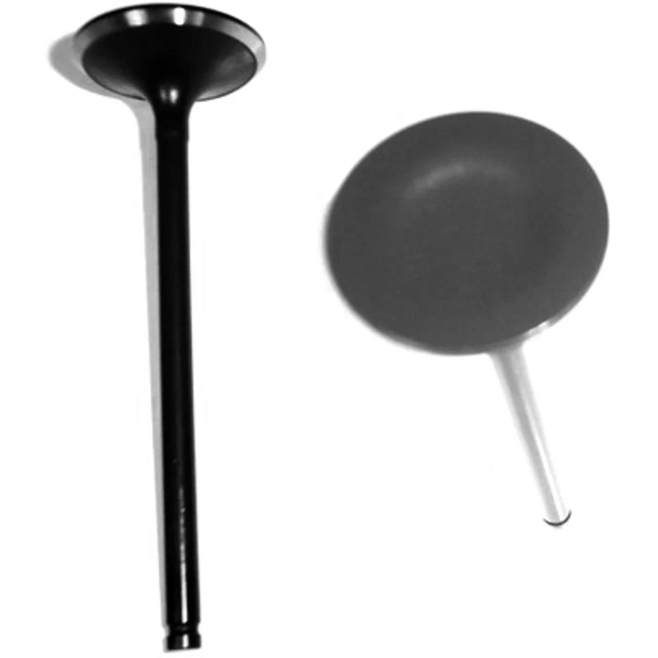 IV100 DNJ Intake Valve for Dodge Colt Plymouth Hyundai Excel Mitsubishi Precis — 第 1/1 张图片