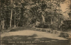 Clinton,CT Through the Grove,Grove Beach Middlesex County Connecticut Postcard - Picture 1 of 2