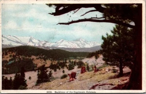 Postal Columna vertebral del continente COLORADO c1911 - Imagen 1 de 2