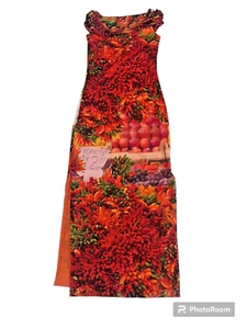 NWT Mesh Zara Lined Fruit Print Off Shoulder Maxi Dress Sz S and L - Picture 1 of 10