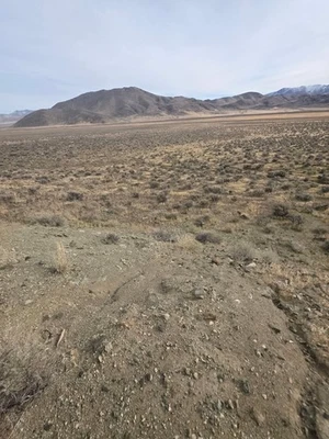 Clipper Gold Mina Histórica Norte Nevada Conocida por Nativo y Espécimen Oro Foto 1 de 4