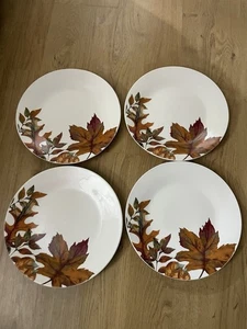 Royal Norfolk Falls Blatt Steinzeug Speiseteller 4er Set orange/braun - Bild 1 von 12