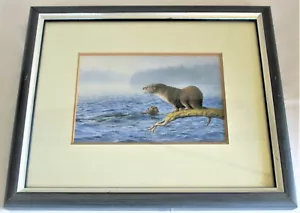 Litografia lontra di Marla Wilson 6 x 9 pollici montata su telaio 13 x 16 pollici - Foto 1 di 11