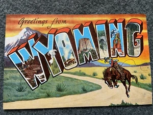 Greetings from Wyoming Vintage Postcard - Picture 1 of 2
