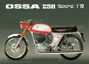 OSSA WILD FIRE SHOCKS NEW SHOCKS OSSA WILD FIRE 230 - 250cc SHOCKS 305mm OSSA - Bild 1 von 3
