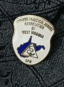 Licensed Practical Nursing Association of West Virginia Enamel Lapel Pin Vtg - Picture 1 of 7