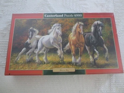 NOS 4000-Pc. Rompecabezas Castorland Born to Run #C-400119 - 54,3" x 26,8" Foto 1 de 3