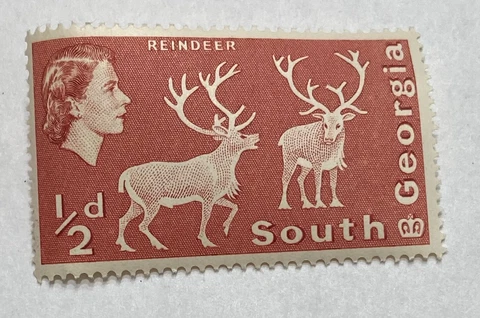SOUTH GEORGIA stamp 1963 REINDEER unused, unhinged Cover