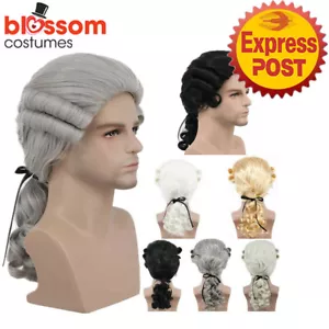 N1142 Deluxe Judge Wig Barrister Legal Historical Lawyer Colonial Mens Costume - Picture 1 of 12