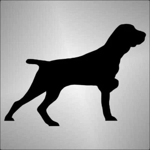 AUFKLEBER Fensteraufkleber Deutscher Deutsch Kurzhaar hund Wagen decal STICKER - Bild 1 von 1