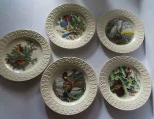 5 Adams Adubon Birds of America 10.5" Plates with Embossed Leaf Rims - Picture 1 of 9