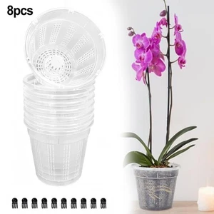 Easily Maintain Orchids with For Durable Transparent Growing Containers - Picture 1 of 12