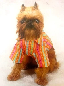 DOG CLOTHING (SMALL) MOD PRINT SHIRT/GREEN/PINK - Picture 1 of 2