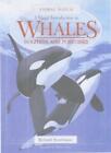 A Visual Introduction to Whales (Animal Watch),Bernard Stonehouse, Martin Camm