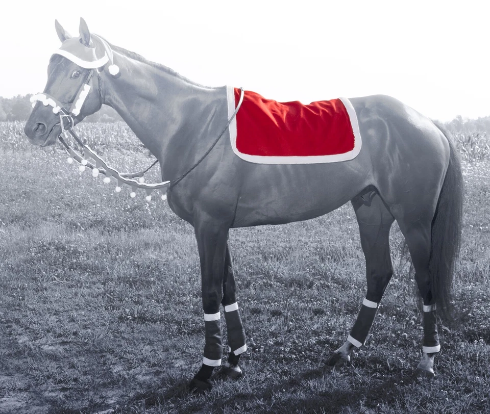 Holiday Horse Wear - Santa English Saddle Pad Cover - Image 1 of 1