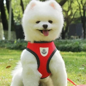 Air Mesh Puppy Small Dog Harness and Leash Mesh Chest Strap Collar for cats/dogs - Picture 1 of 8
