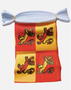 OWAIN GLYN DWR FLAG BUNTING 9 metres 30 flags WALES WELSH MARCHES GLYNDWR - Picture 1 of 1