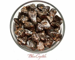 Piedras caídas de ágata turritella de 1/2 lb (aprox. 40) naturales mezcladas "no teñidas" #S1 - Imagen 1 de 1