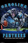 Carolina Panthers PANTHERS PRIDE SINCE 1995 End Zone NFL Theme Art 22x34 POSTER