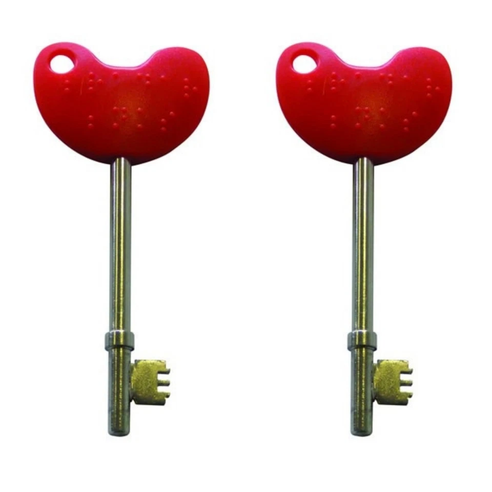 BARY 2 CONFEZIONI NKS CHIAVE RADAR disabili WC bagno porta accesso Braille giro pub caffè