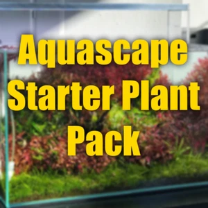 $500 Aquascaping Starter kit plant pack perfect for new aquascapes fresh plants - Picture 1 of 6