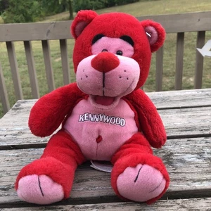 Kennywood Amusement Park Red Plush Bear Collectible Pittsburgh PA - Picture 1 of 7