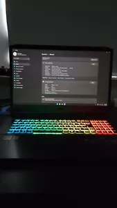 Acer Nitro 5 NVIDIA RTX 3080 Ryzen 9 5900HX 17.3" 1440p 165Hz 32GB RAM, 1 TB SSD - Picture 1 of 10