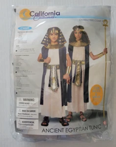 Child Size L/XL 10-14 Ancient Egyptian Tunic Halloween California Costumes - Picture 1 of 11