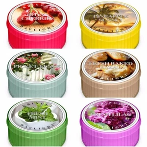 Kringle Candle Duft Tageslicht Teelicht (1,25oz) - Bild 1 von 2