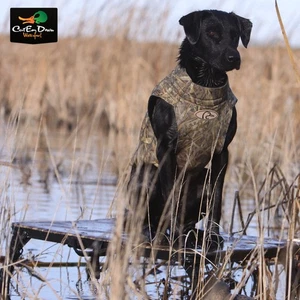 Avery Outdoors Ruff Stand – Adjustable Dog Stand, 150 lb Capacity, Folds Flat - Picture 1 of 7