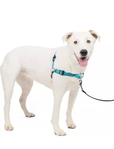 Arnés PetSafe Easy Walk Deluxe para perros pequeño con plomo azul océano plomo negro - Imagen 1 de 2