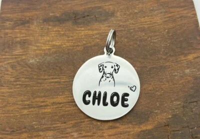 Etiquetas para perros, dije de acero inoxidable, etiquetas de identificación de mascotas grabadas personalizadas, forma redonda Foto 1 de 4