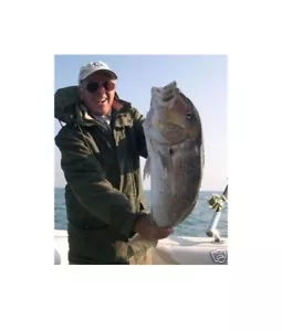 Filo pesca traina inox D. 0,80 da 70 LB + affidabile del monel 750 mt new Rotex - Foto 1 di 5