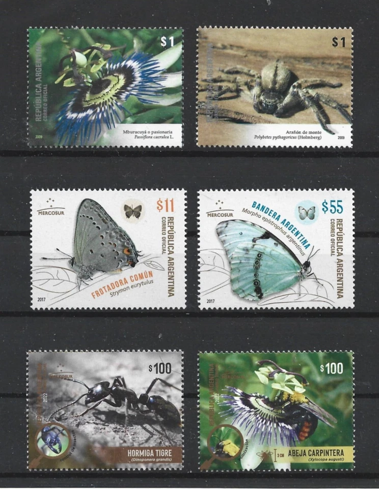 Argentina 2009, 2017, 2022 Insects Butterflies Mercosur Complete Three MNH Sets - Image 1 of 1