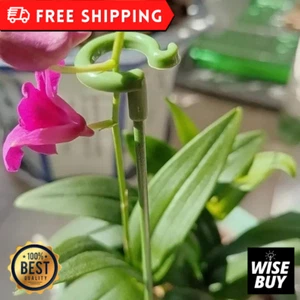 10 piezas Soportes de plástico para plantas Estacas Soporte para flores Palos Reutilizables Fijación de jardín - Imagen 1 de 8