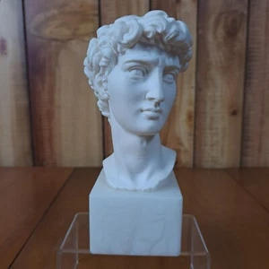 Busto David di Michelangelo A Gianelli vintage, firmato alto 7,5" - Foto 1 di 18