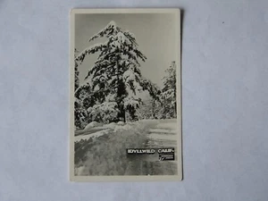Idyllwild California CA RPPC Echtfoto Wendelken Foto - Bild 1 von 2