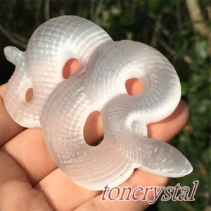 Teschio Serpente Selenite Naturale 3" Cristallo di Quarzo Intagliato Teschio Reiki Guarigione 1pz - Foto 1 di 12